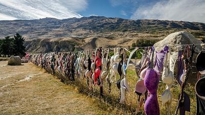 10 hàng rào làm từ đồ bỏ đi nổi tiếng ở New Zealand-du-lich-new-zealand.jpg