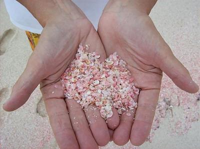 Bờ biển cát hồng tự nhiên ở Bahamas-bai-cat-hong2.jpg