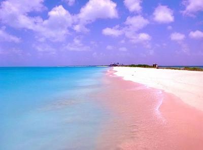 Bờ biển cát hồng tự nhiên ở Bahamas-bai-cat-hong4.jpg