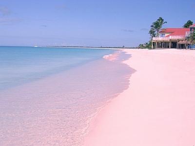 Bờ biển cát hồng tự nhiên ở Bahamas-bai-cat-hong6.jpg