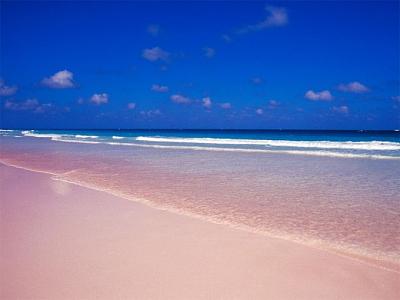 Bờ biển cát hồng tự nhiên ở Bahamas-bai-cat-hong8.jpg