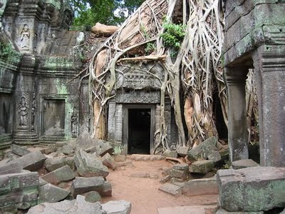Vương quốc đền chùa Campuchia-ta-prohm.2.jpg